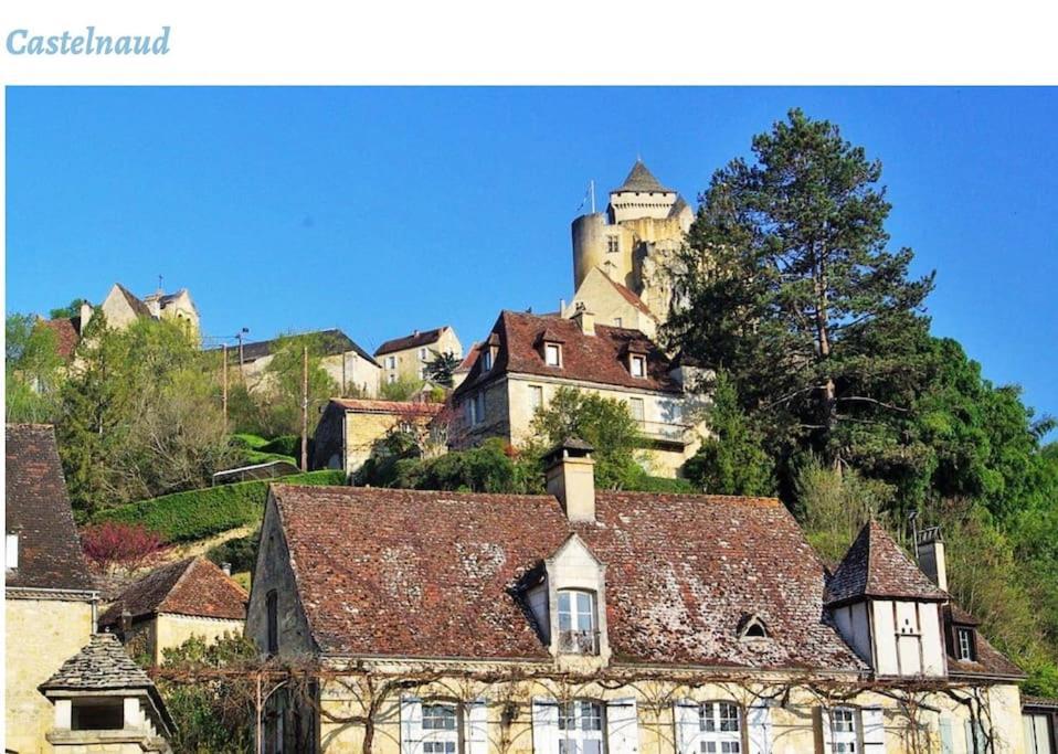 Castelnaud Vue Daire Dış mekan fotoğraf